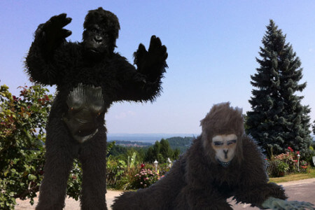 Ganzkörper- Kostüm Gorilla - 477c1eec-ec54-4110-90cf-210b7cf095b1