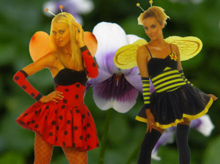Marienkäfer & Bienen Kostüm