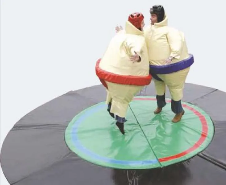 SUMO-RINGEN