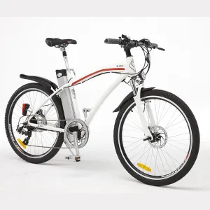 E-Bike, Elektrofahrrad "Mountain"