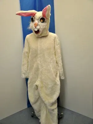 Hasen Kostüm
