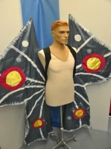 Schmetterling Kostüm