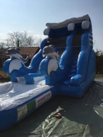 Wasserrutschen Vermietung - " Delphin"