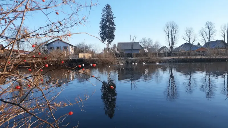 Ruderboot für 4