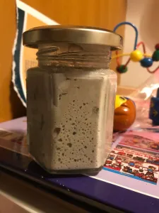 Sauerteig (Roggen)
