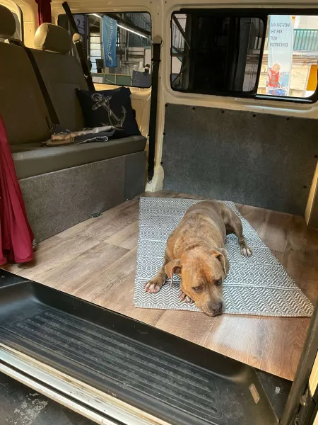 VW T5 Caravelle