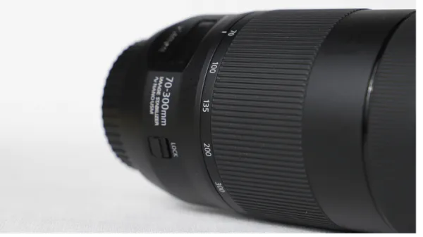 Canon EF 70-300 4-5.6 IS II USM