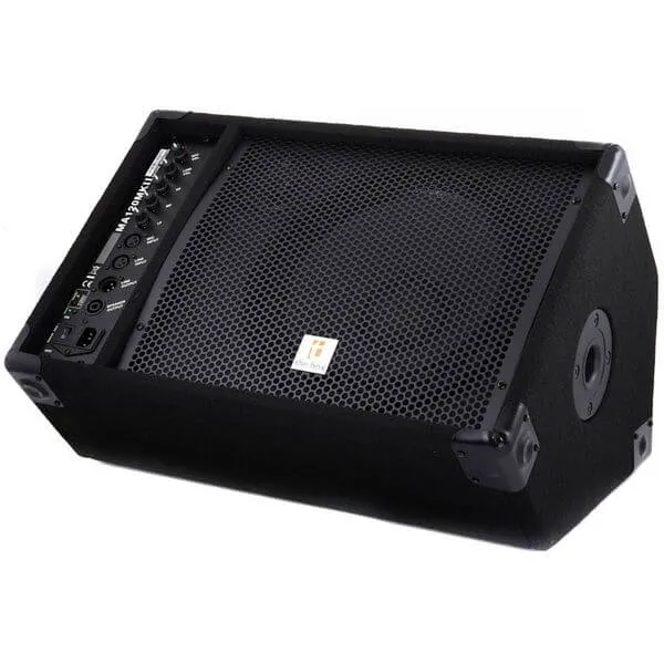 Monitor/PA Lautsprecher The Box Ma 120 MKII