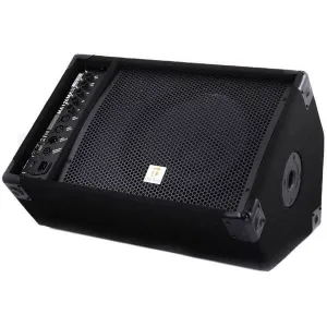Monitor/PA Lautsprecher The Box Ma 120 MKII