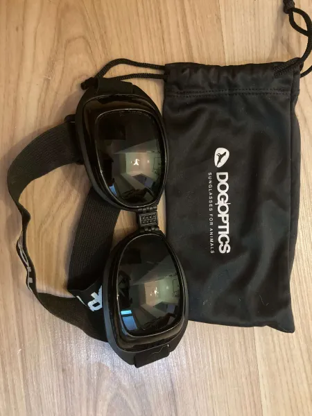 Sonnenbrille für Hunde