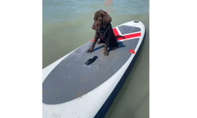 Standup Paddle - SUP