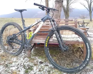 Ragley Big Al 2019