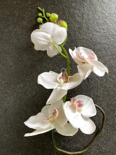 Dekoration für Feste