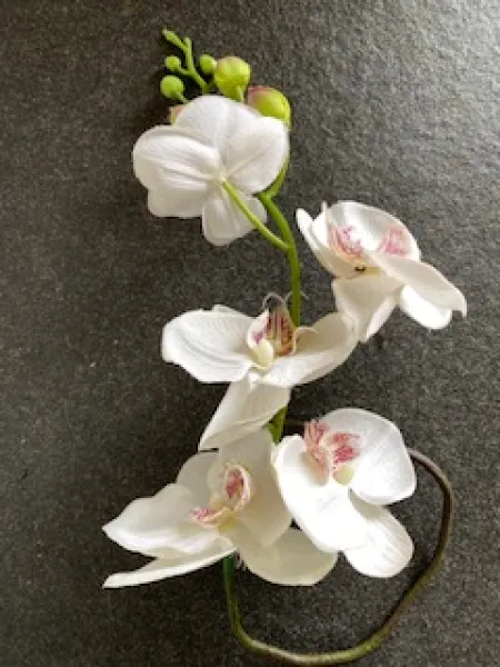 Dekoration für Feste