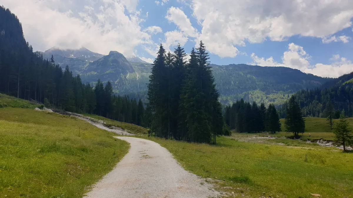 Coaching/Lebensberatung