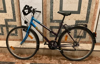 CityBike - Shimano Ausstattung, Licht, Glocke, Gebäckträger