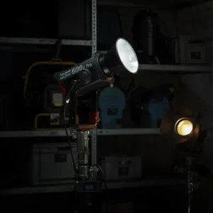 LED Aputure LS 600d Pro