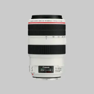 Objektive & Adapter Canon EF 70-300mm f4-5.6L IS USM