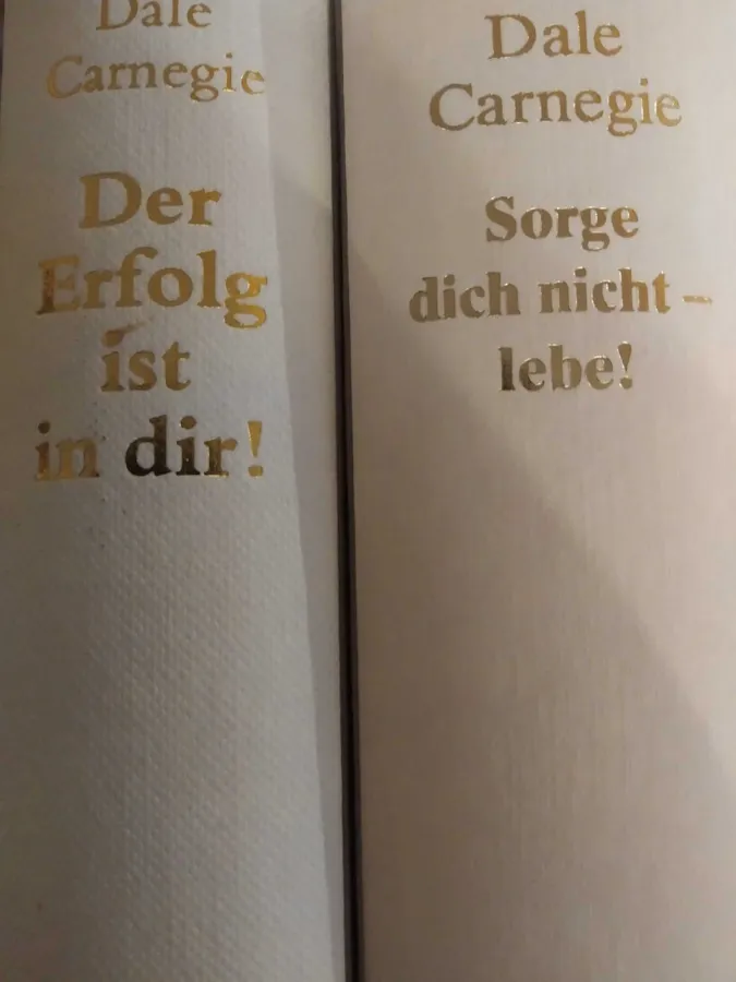 2 Ratgeber Bücher - Dale Carnegie: "SORGE DICH NICHt - LEBE" und "DER ERFOLG IST IN DIR"