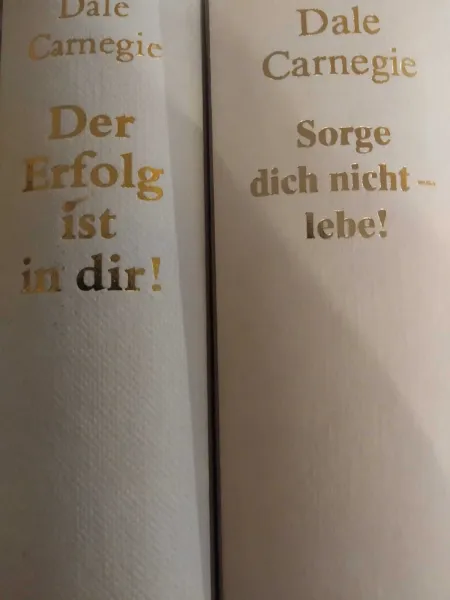 2 Ratgeber Bücher - Dale Carnegie: "SORGE DICH NICHt - LEBE" und "DER ERFOLG IST IN DIR"
