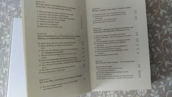 2 Ratgeber Bücher - Dale Carnegie: "SORGE DICH NICHt - LEBE" und "DER ERFOLG IST IN DIR"