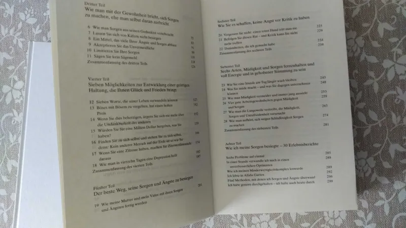 2 Ratgeber Bücher - Dale Carnegie: "SORGE DICH NICHt - LEBE" und "DER ERFOLG IST IN DIR"