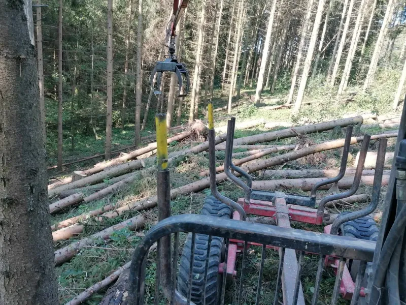 Hilfe bei Forstarbeit