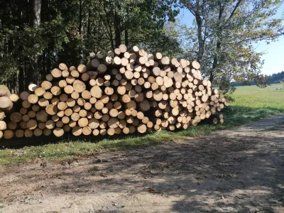 Hilfe bei Forstarbeit