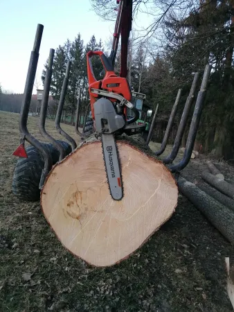 Hilfe bei Forstarbeit