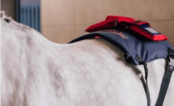 ActivoMed WLP POWERPAD