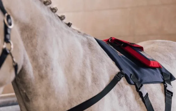 ActivoMed WLP POWERPAD