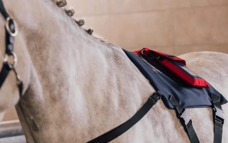 ActivoMed WLP POWERPAD