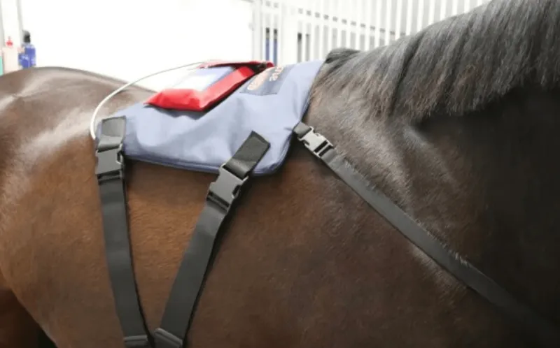 ActivoMed WLP POWERPAD