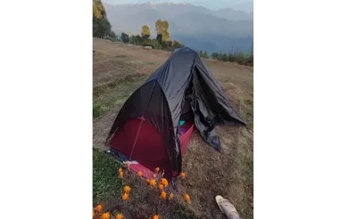 Ultraleichtes 1-Personen Zelt - MSR FreeLite 1