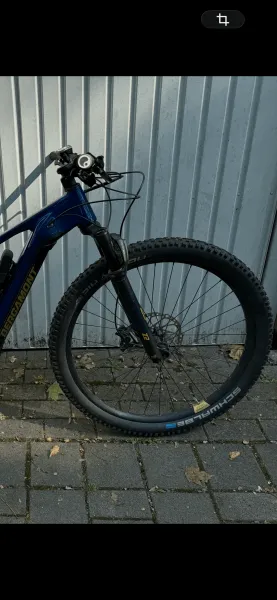 Bergamot E-bike Fully