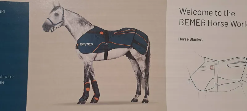 Bemer Horse set