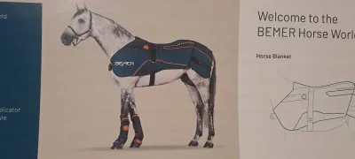 Bemer Horse set