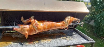 Spanferkelgrill