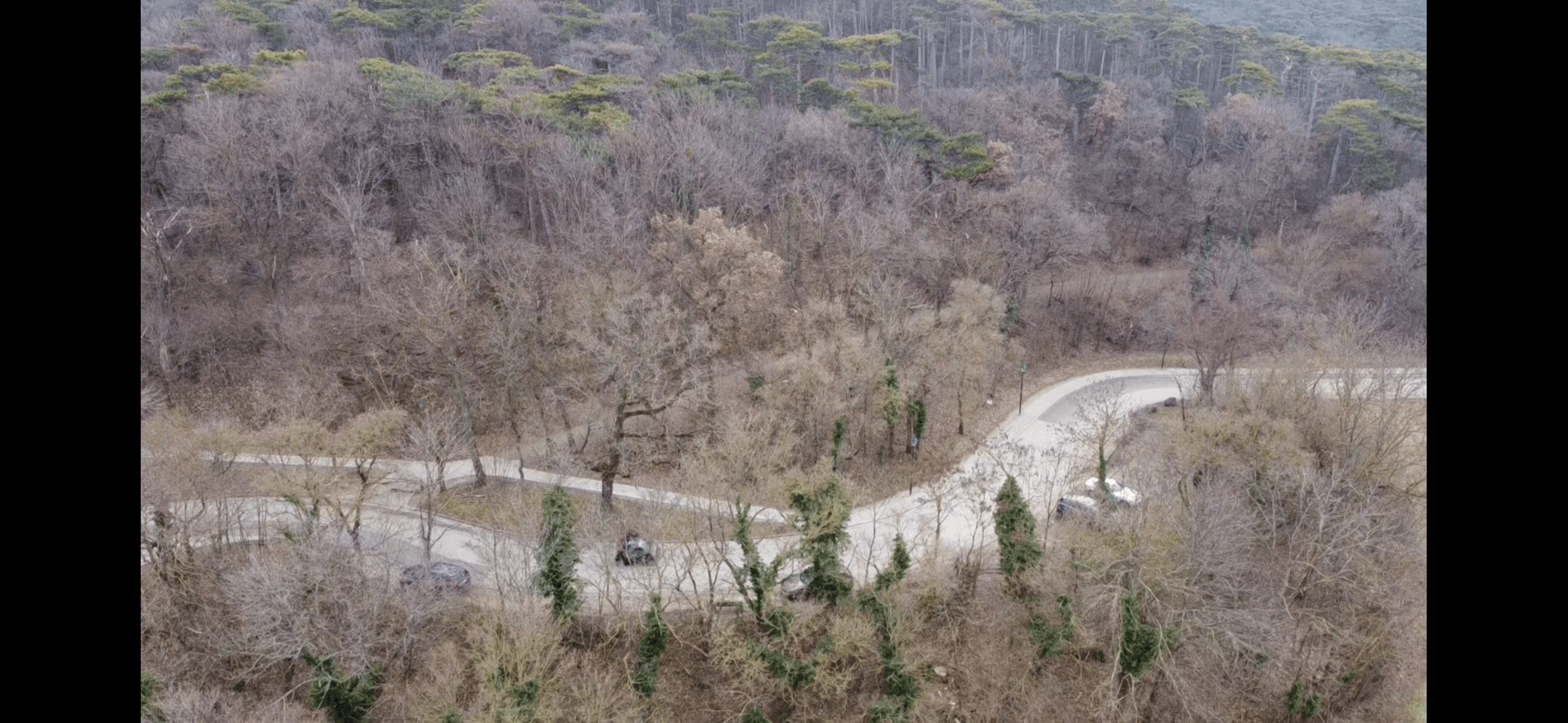 DJI Mini 2 – Großes Fly More Paket (3 Akkus) – Sofort startklar - 012508bd-4e96-49d4-a5fa-7f08f958d1df