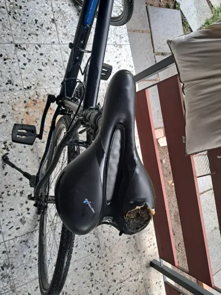 Crossbike