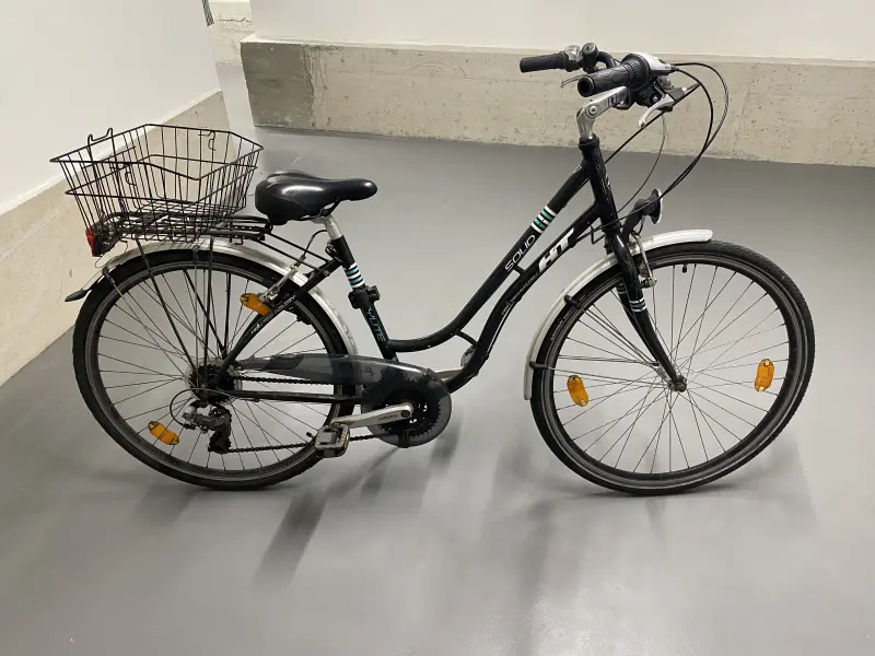 Damenfahrrad mit Korb