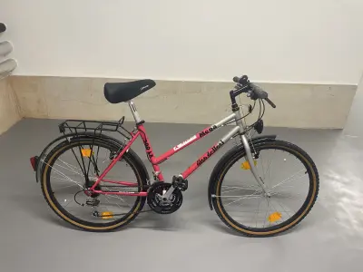 Damenfahrrad Alu-Rex Mesa