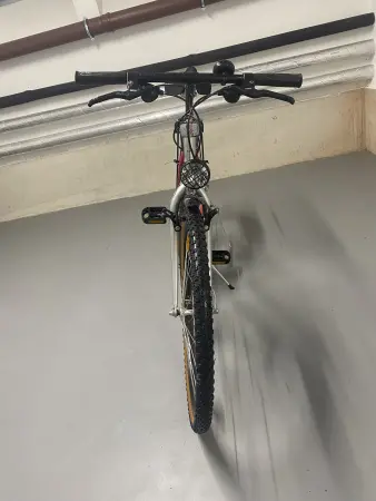 Damenfahrrad Alu-Rex Mesa