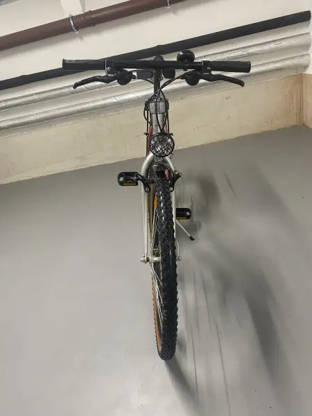 Damenfahrrad Alu-Rex Mesa