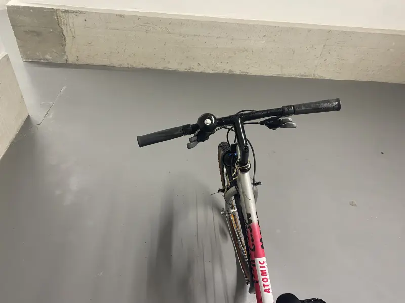 Damenfahrrad Alu-Rex Mesa