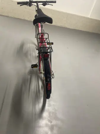 Damenfahrrad Alu-Rex Mesa