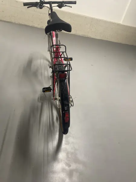 Damenfahrrad Alu-Rex Mesa