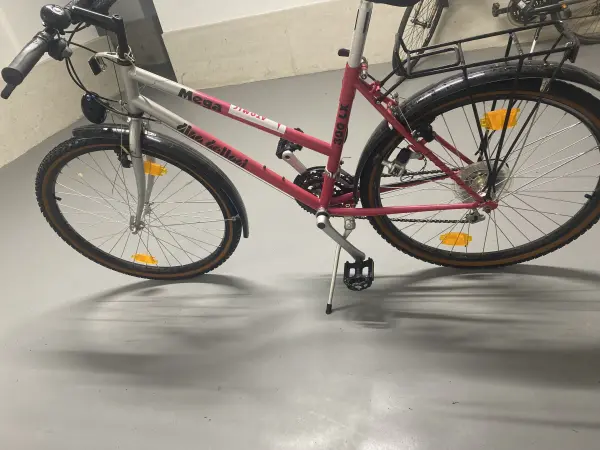 Damenfahrrad Alu-Rex Mesa